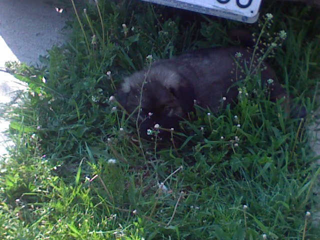 DSC00434.JPG, 101 KB